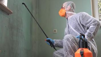 Restitution en mauvais état et préjudices du bailleur