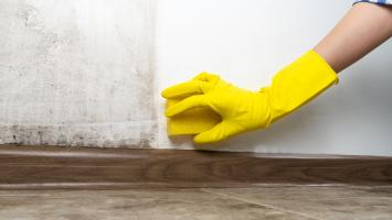 détérioration immobilière