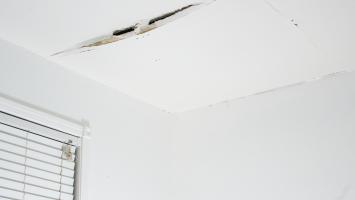 Transaction : Défaut de conseil de l’agent immobilier sur des vices visibles