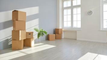 Un intérieur lumineux et vide avec des cartons empilés, une plante en pot, et une grande fenêtre laissant entrer beaucoup de lumière 