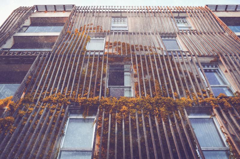 MaPrimeRénov’ : les copropriétés et les syndics au cœur de la transition énergétique 