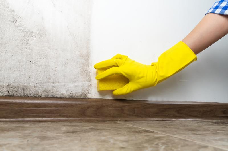 détérioration immobilière