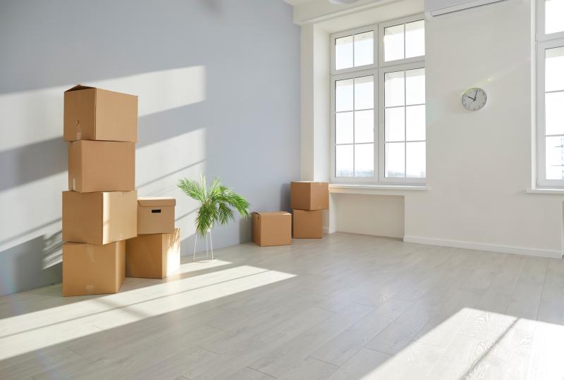 Un intérieur lumineux et vide avec des cartons empilés, une plante en pot, et une grande fenêtre laissant entrer beaucoup de lumière 