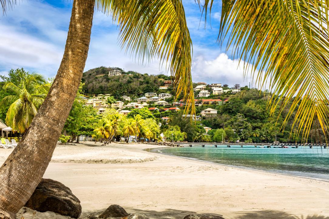Un paysage à la Martinique