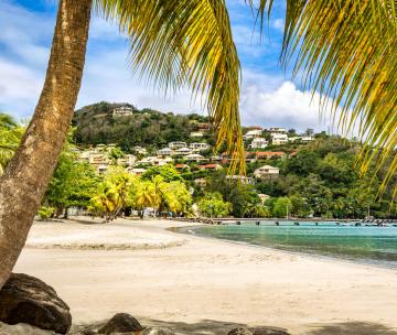 Un paysage à la Martinique